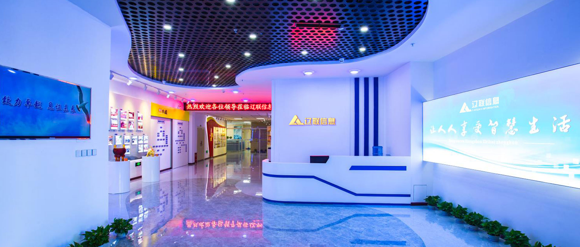 耀彩网集团